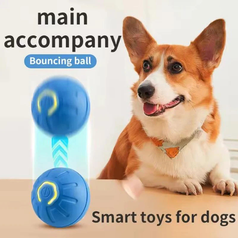 Corgi dog with blue bouncing ball toy labeled 'Smart toys for dogs'
