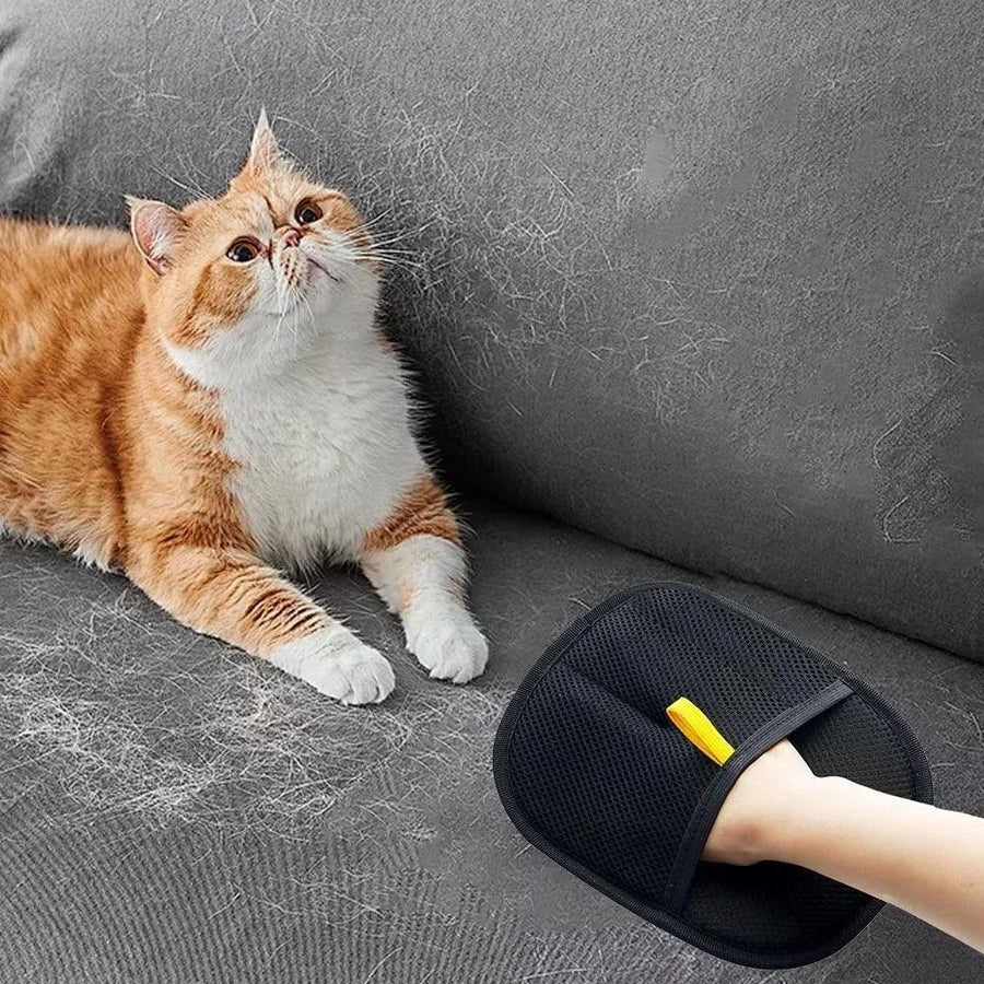 Cat shedding fur on a gray couch – pet hair on furniture problem the remover glove solves