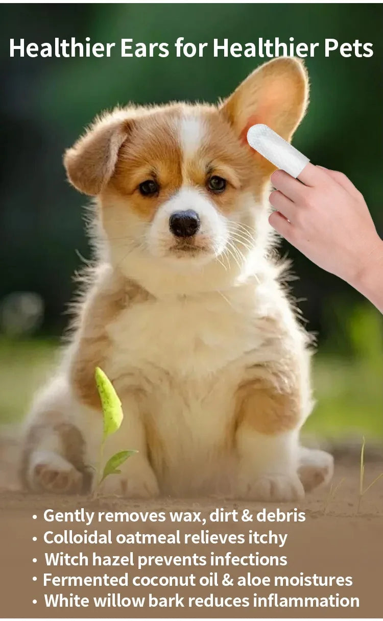 Dog having its ears cleaned with pet ear cleaner finger wipes, infographic with text about pet ear health benefits