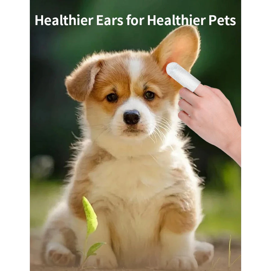 Dog having its ears cleaned with pet ear cleaner finger wipes, Healthier Ears for Healthier Pets packaging on a blurred natural background