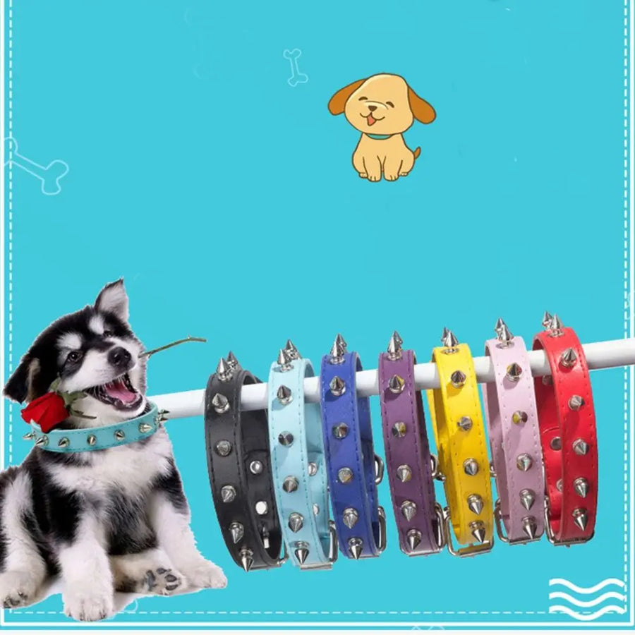 Colorful spiked dog collars with puppy illustration – adjustable studded collars on blue background