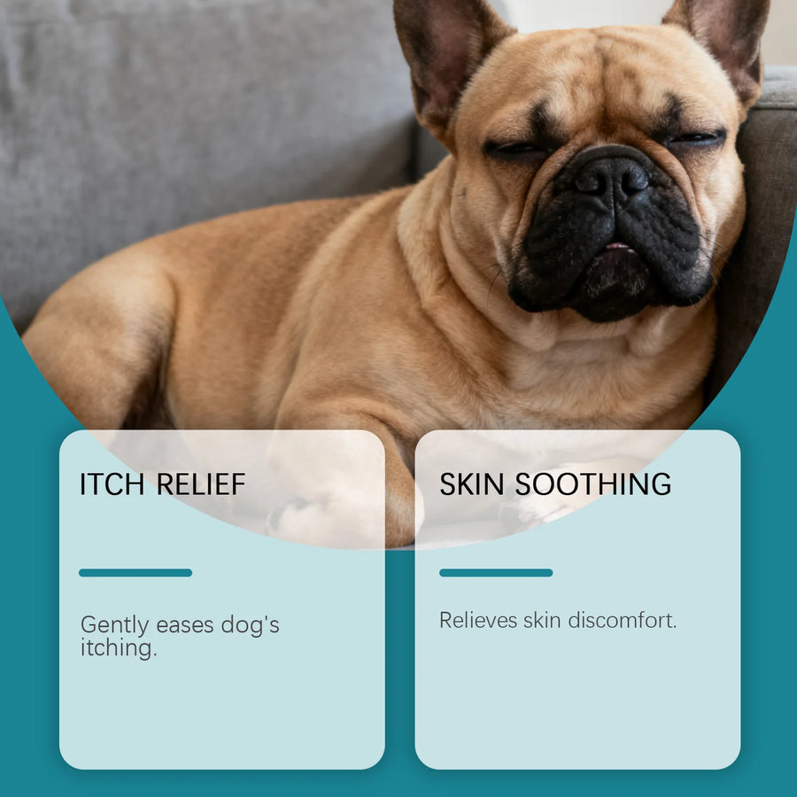 Dog lying on a couch with text boxes about itch relief and skin soothing.