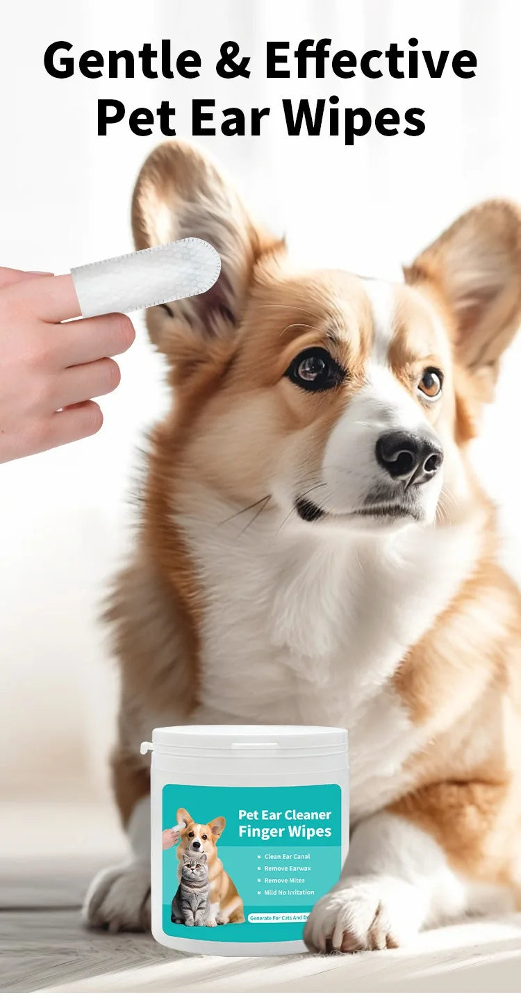 Dog being groomed with pet ear cleaning finger wipes for dogs and cats, container of wipes on a white background