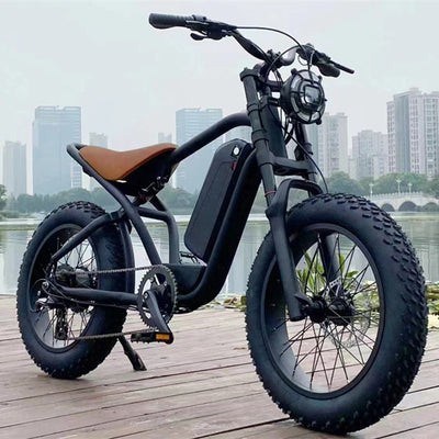 E-bike lithium battery front view