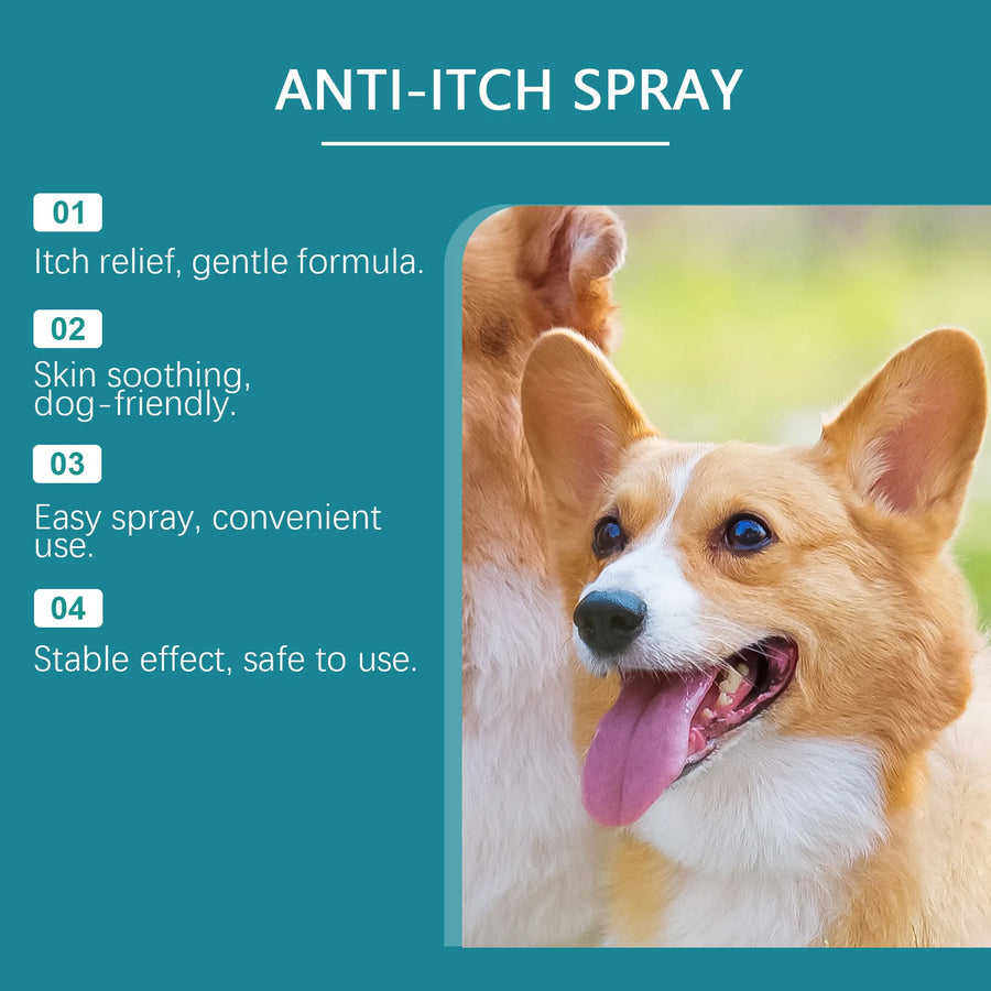 Dog with open mouth and tongue, featuring anti-itch spray text and benefits on a teal background
