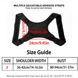 Brace worn on back