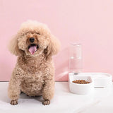 Dog sitting next to a bowl of food on a pink background