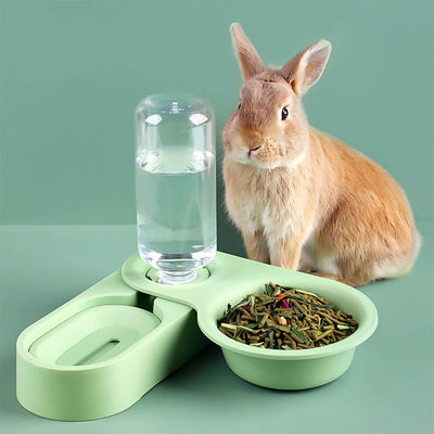 All-in-One Small Pet Feeder Bowl