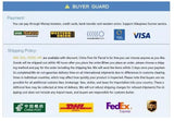 Payment options and shipping services information with logos