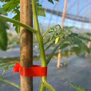 Plant Tying Tool Set with Tape Rolls