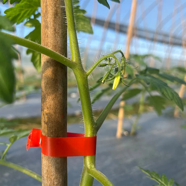 Plant Tying Tool Set with Tape Rolls