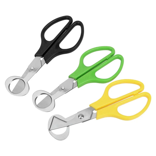 Stainless Steel Quail Egg Cutter Scissors