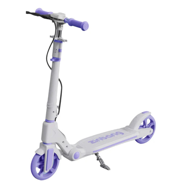 Teenagers and Kids Scooters Adult Two-Wheeled Collapsible City Campus Scooter 12 Scooter