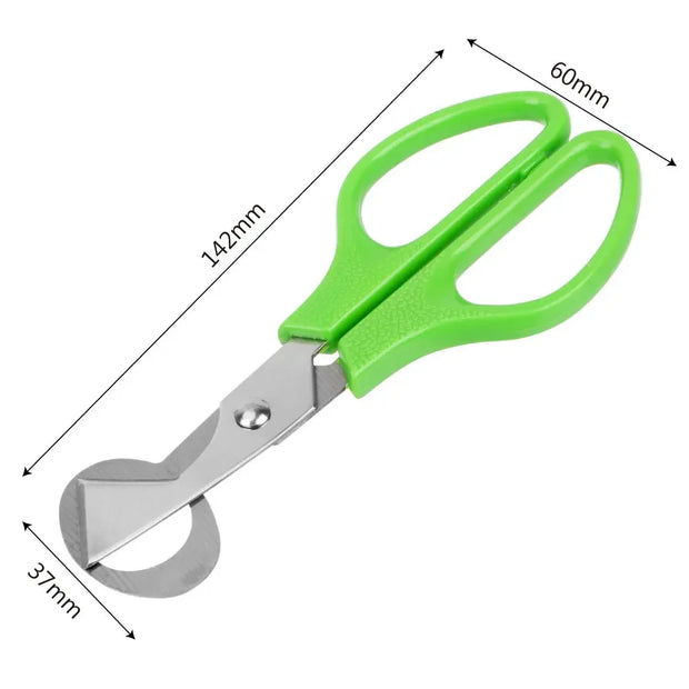 Stainless Steel Quail Egg Cutter Scissors