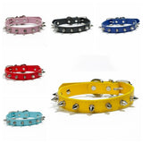 Colorful spiked dog collars with spike details – studded pet collar set on white background