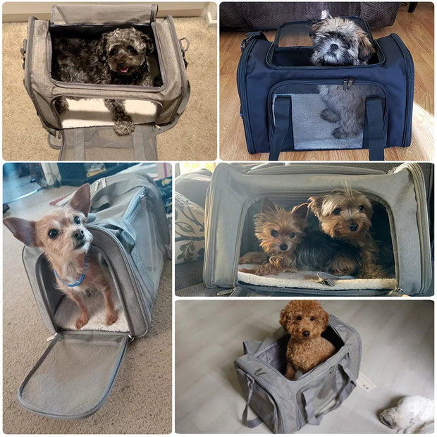 Soft-Sided Travel Carrier for Small Pets