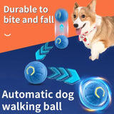 Automatic dog walking ball with a dog on an orange and blue background