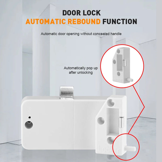Invisible Magnetic Digital Cabinet Lock Rfid Plastic Safety Smart Drawer Hidden Lock Smart Lock Swipe Card Lock