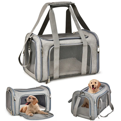 Soft-Sided Travel Carrier for Small Pets